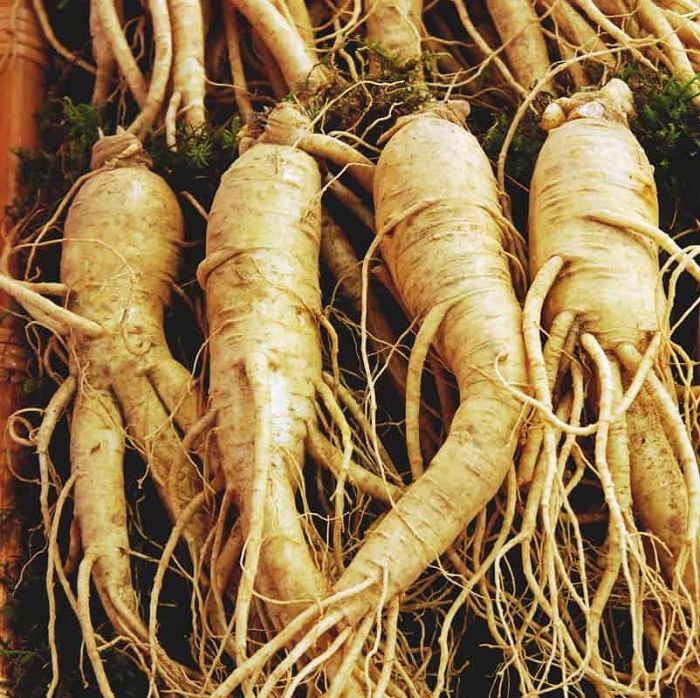 Khám phá các bài thuốc từ long nhãn - Món quà cho sức khỏe Khám phá các bài thuốc từ long nhãn - Món quà cho sức khỏe