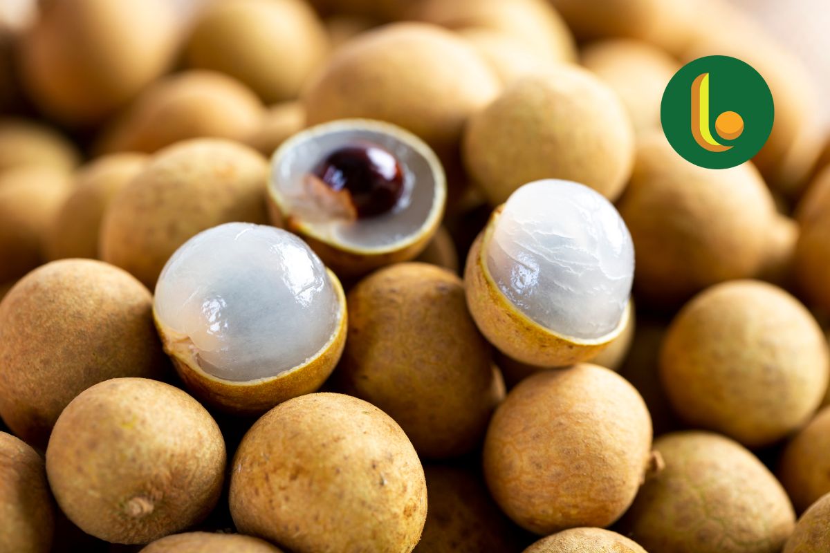 Long nhãn - Bí quyết làm đẹp da từ thiên nhiên